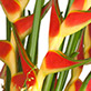 Graphic Design and Printing for Smart Tax.