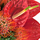 Graphic Design and Printing for Smart Tax.