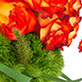 Graphic Design and Printing for Smart Tax.